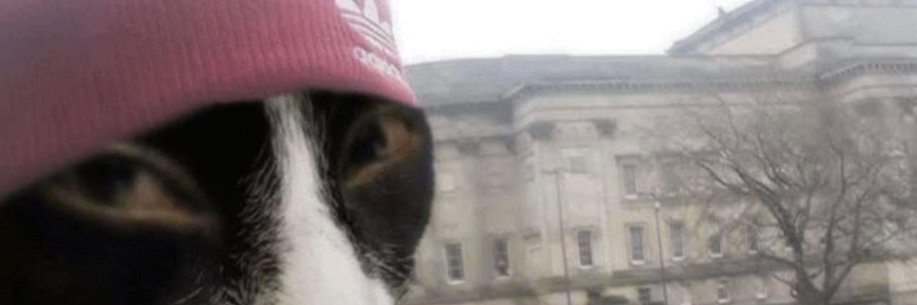 anonuser48's profile banner image