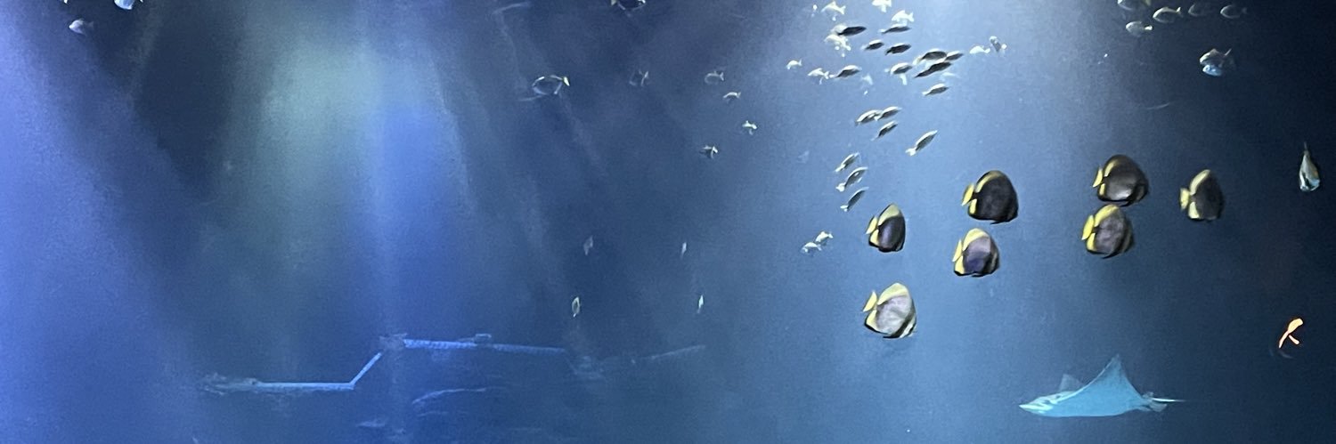nini1503's profile banner image