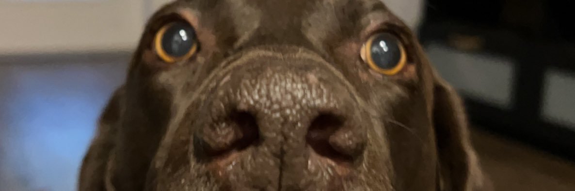 thenewlinnathan's profile banner image