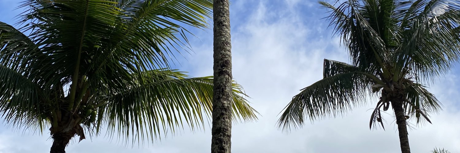 Jummsouza's profile banner image