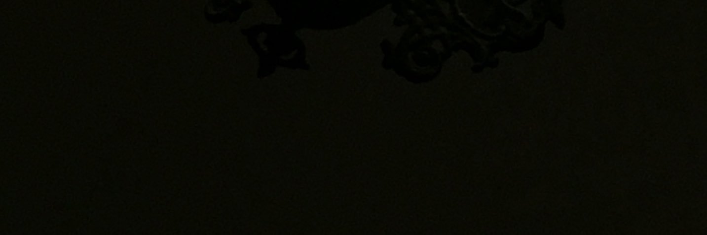 yourloonaa's profile banner image