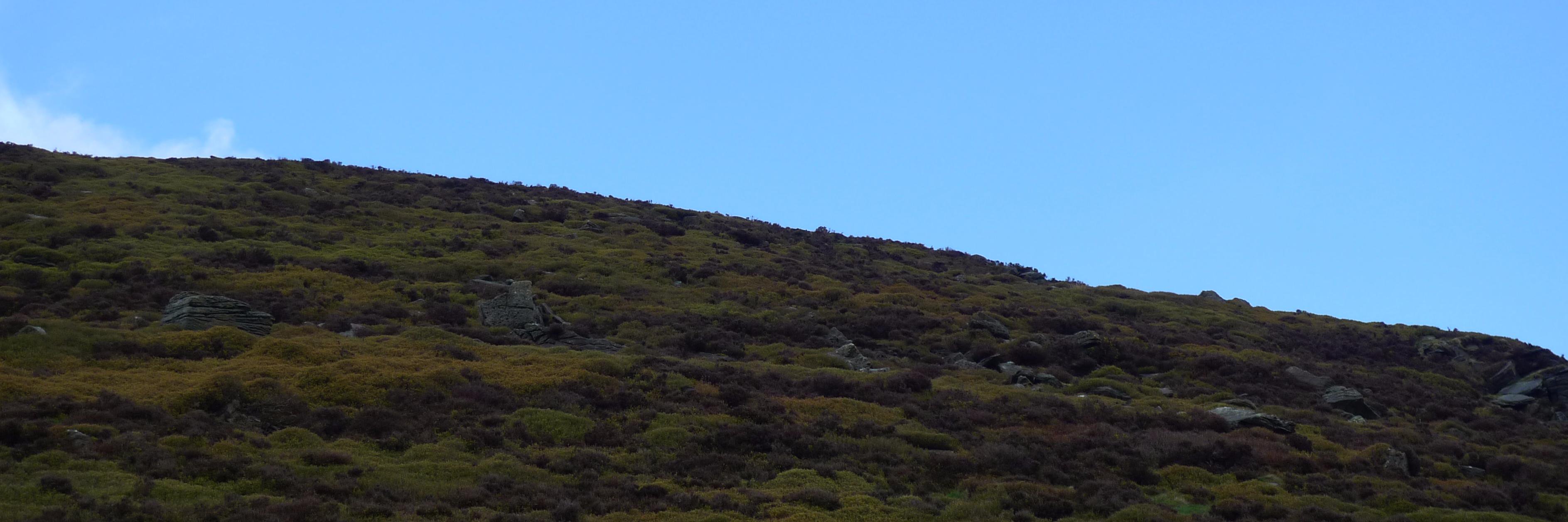 aitchbaker's profile banner image