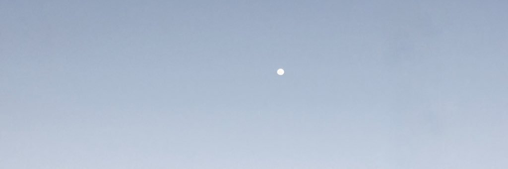 carolansaldi's profile banner image