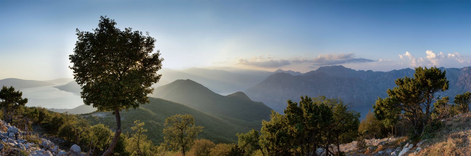 Raymond McCrudden banner