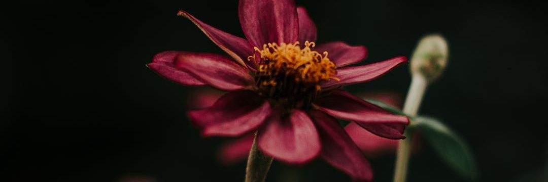 slimVembe's profile banner image