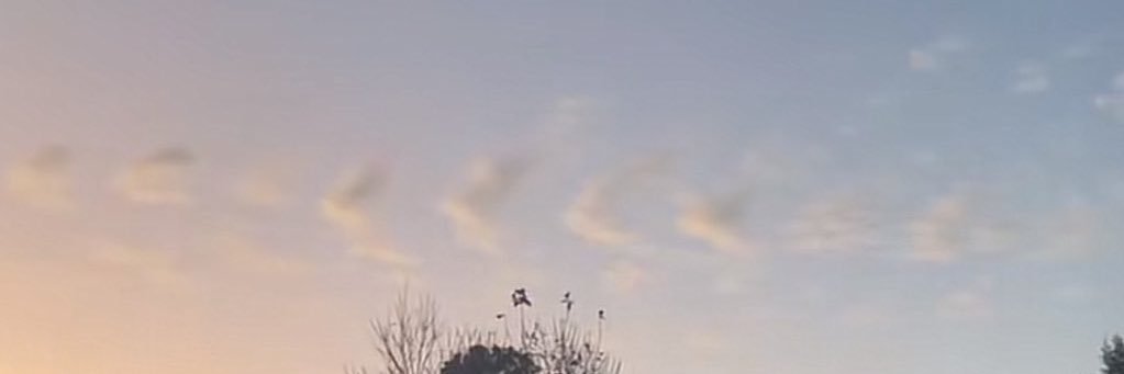 Radikha Fairul banner