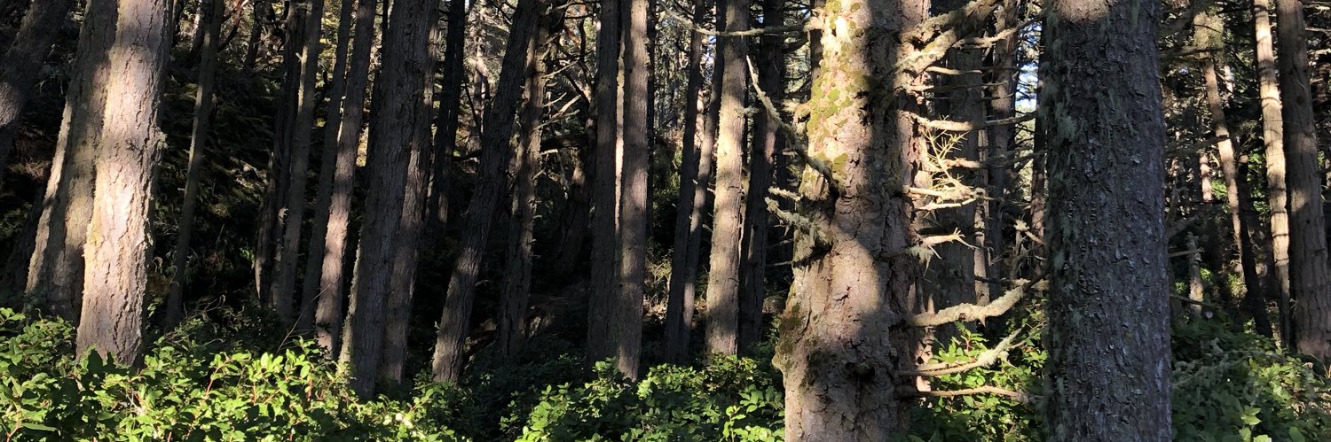 andrewjmcgrath's profile banner image