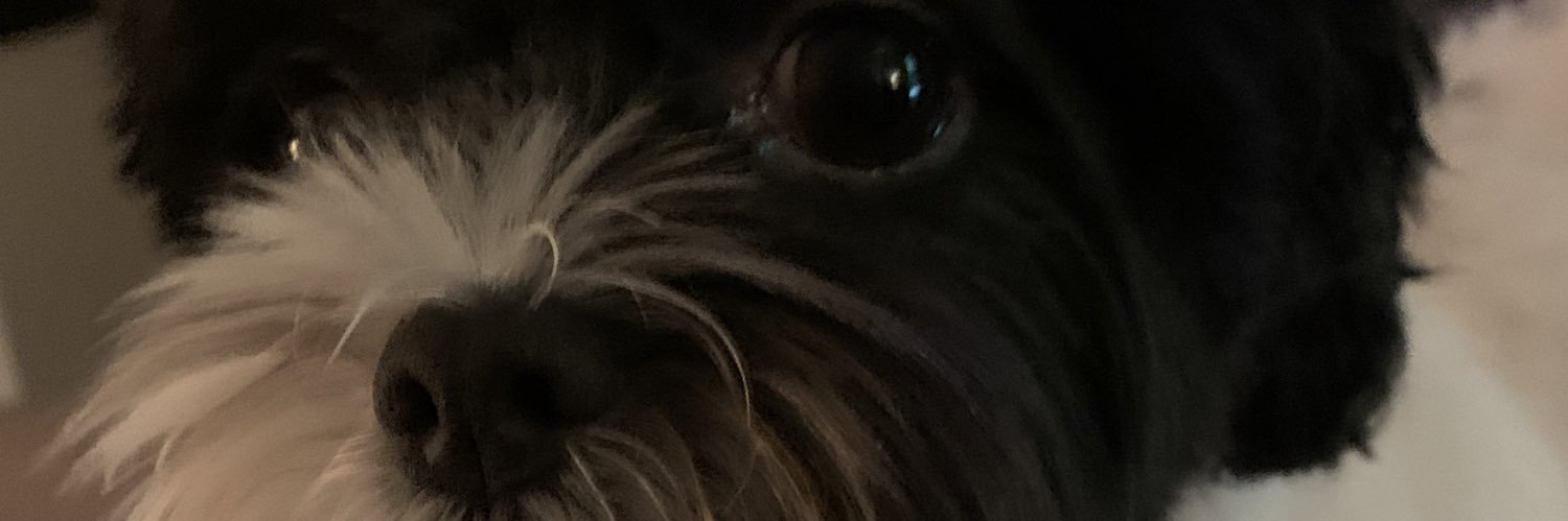 beru5000's profile banner image