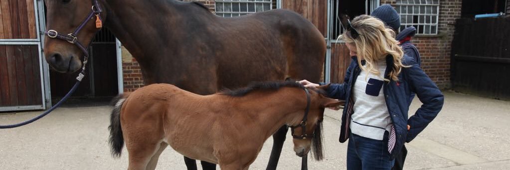 Alison V Phillips 💙 banner