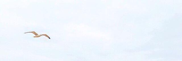 basileesa's profile banner image