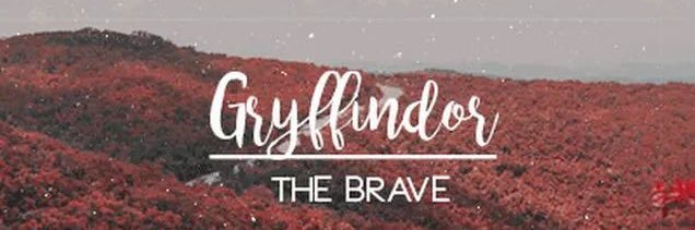 _edaaydin_'s profile banner image