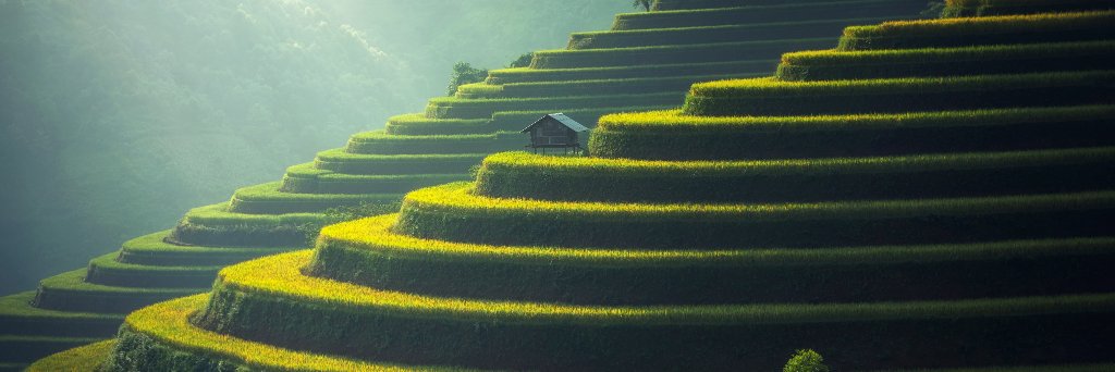 SoleyaJordan's profile banner image