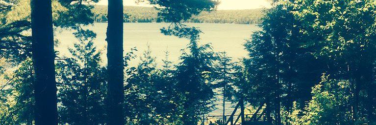 Darren Hackwood banner