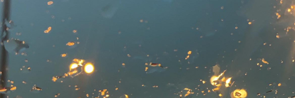 Sultan_q87's profile banner image