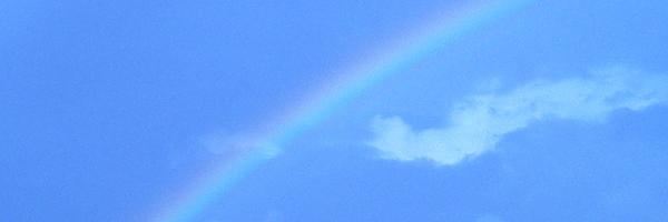 DrDCardona Profile Banner