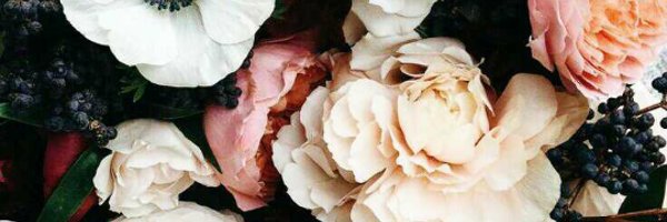 LindiMasangoM's profile banner image