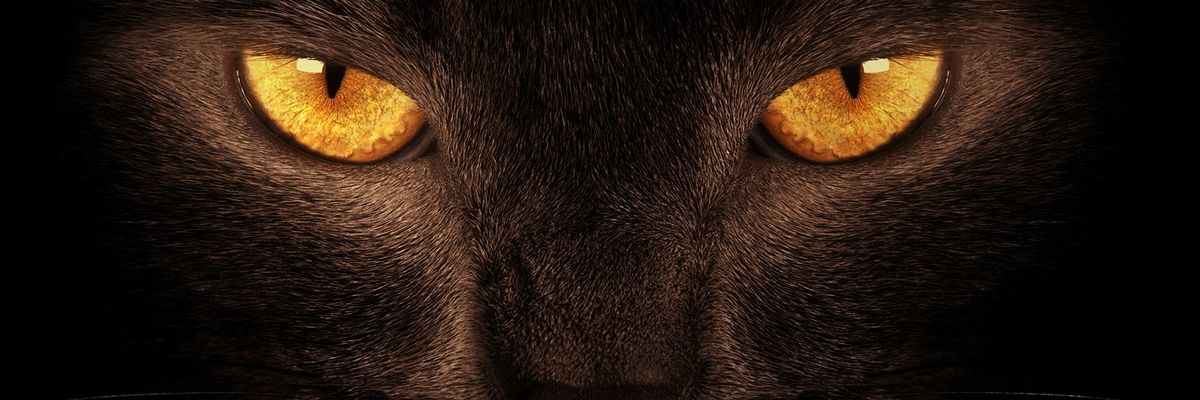 RBahiga's profile banner image