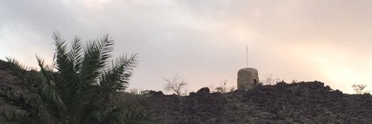 Abdalla Abdelghani Alhammadi banner