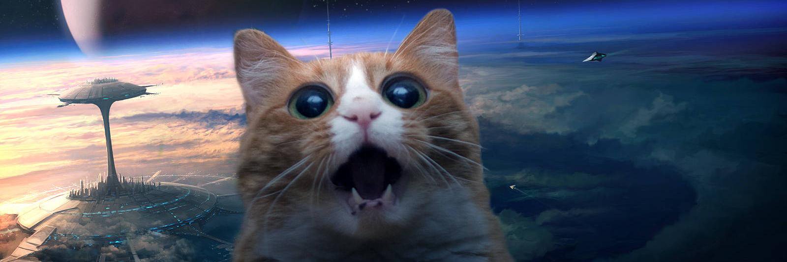 The_Cat_Poo's profile banner image