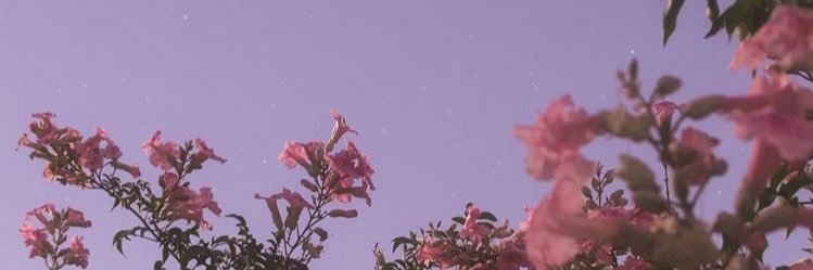 andrealo95's profile banner image