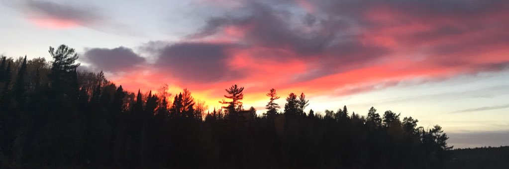 angelraine87's profile banner image