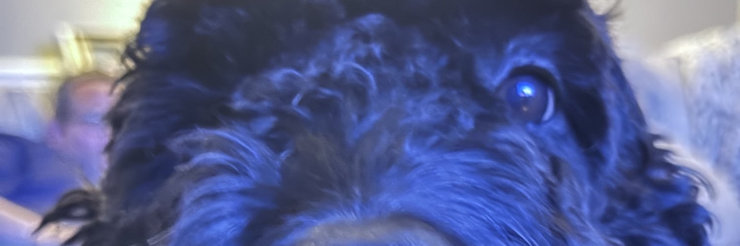 _karma031's profile banner image