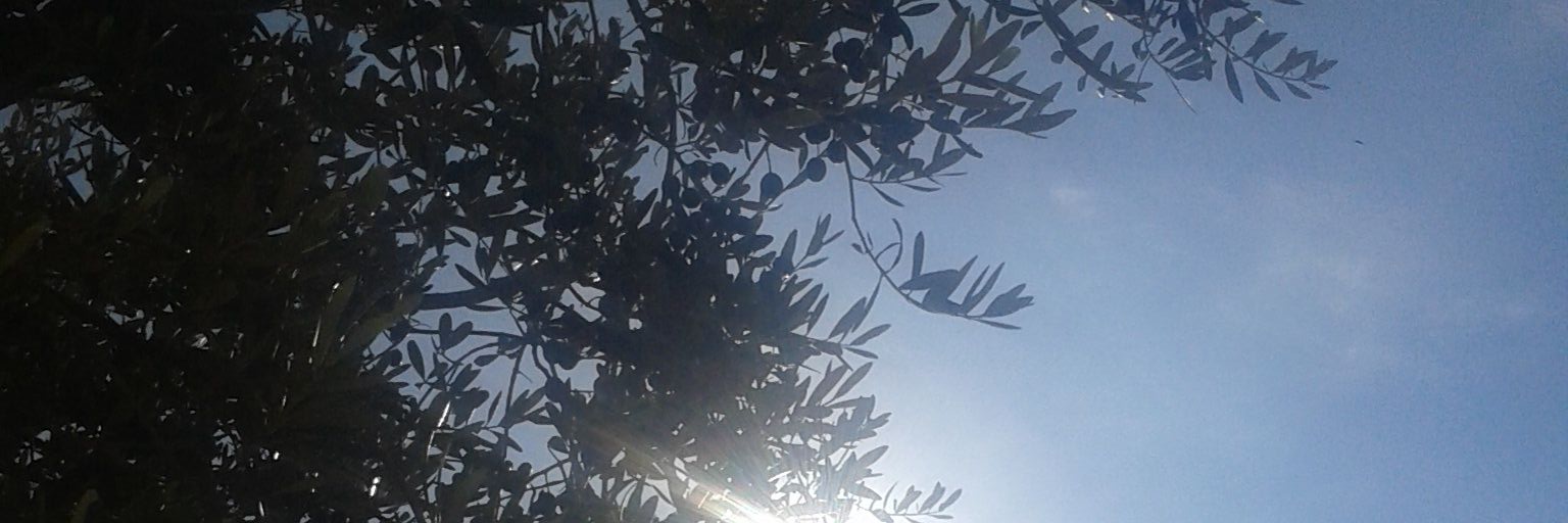 iolanda serrano banner