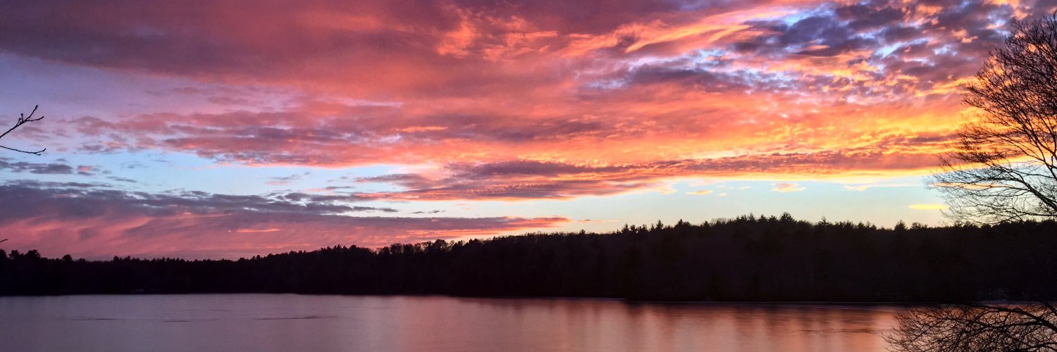 Wellesley Wire banner