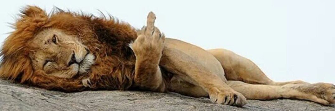 @Lion_for_Truth banner