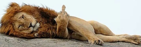 Lion_For_Truth Profile Banner