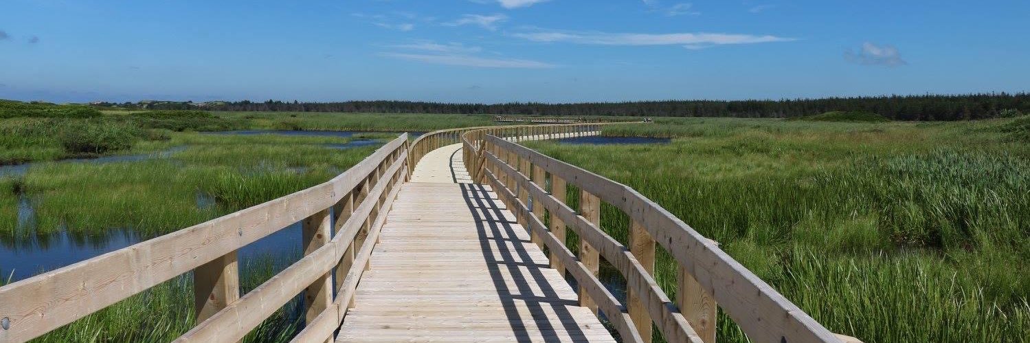 Karen den Broeder banner