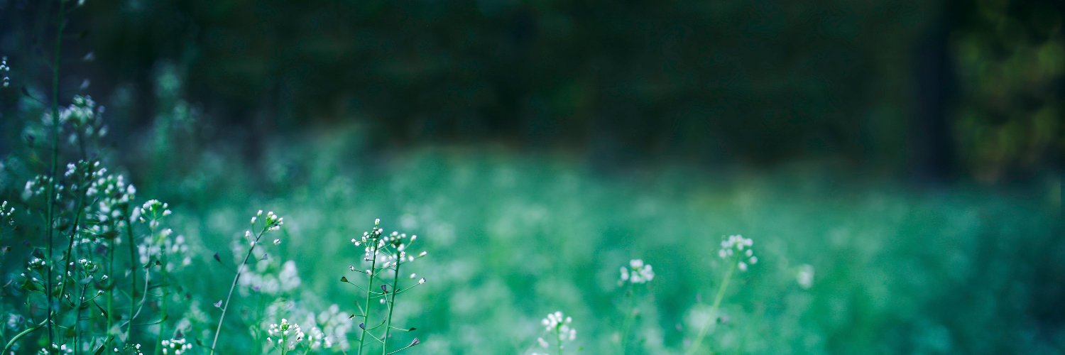 ckdonick's profile banner image