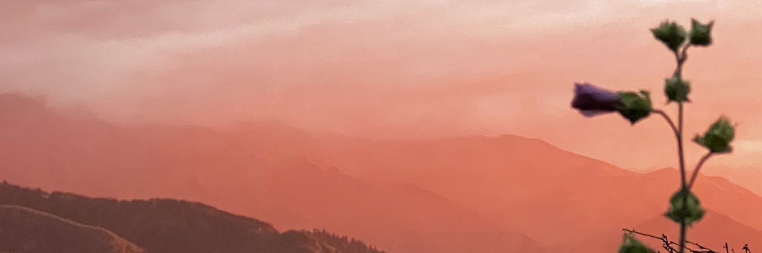 f_dddrty's profile banner image