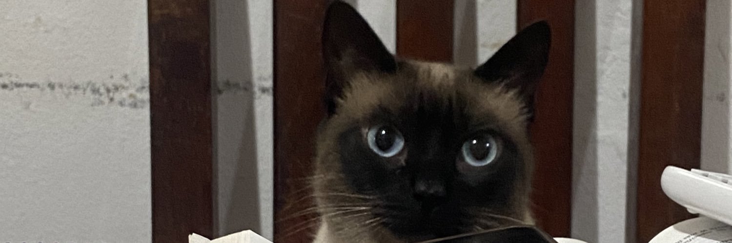 Gianiich's profile banner image