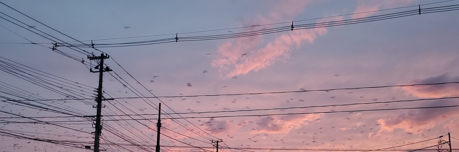 sugarchicoil's profile banner image