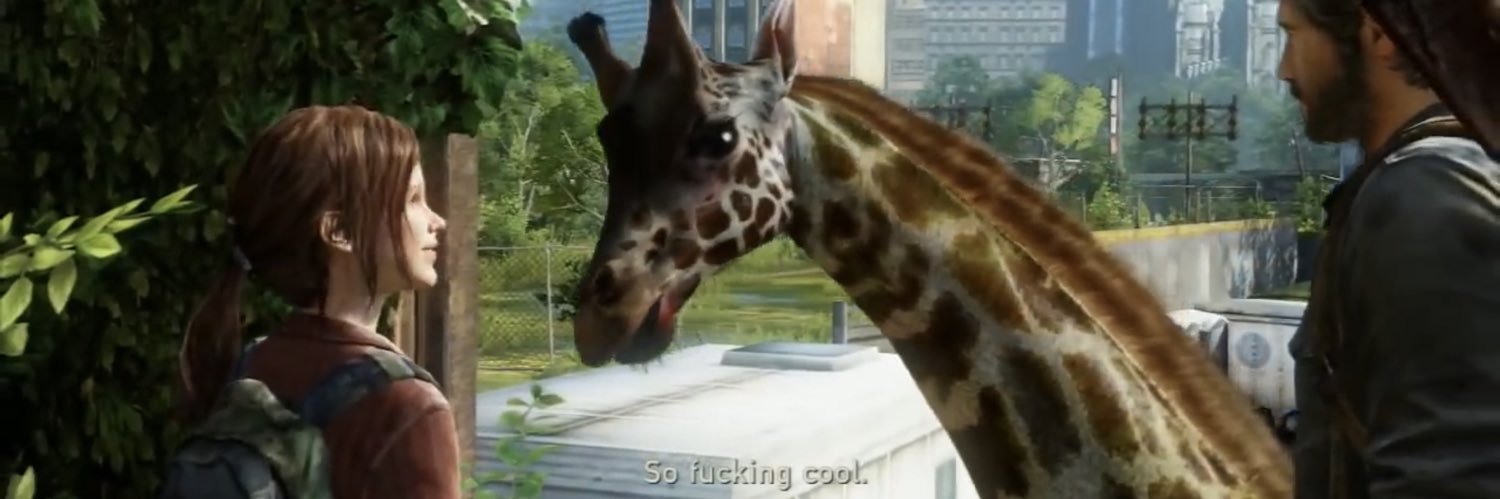 juniiebug's profile banner image