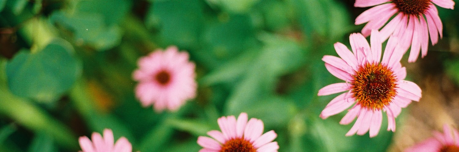 mandapat's profile banner image