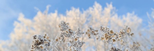 junrensui Profile Banner