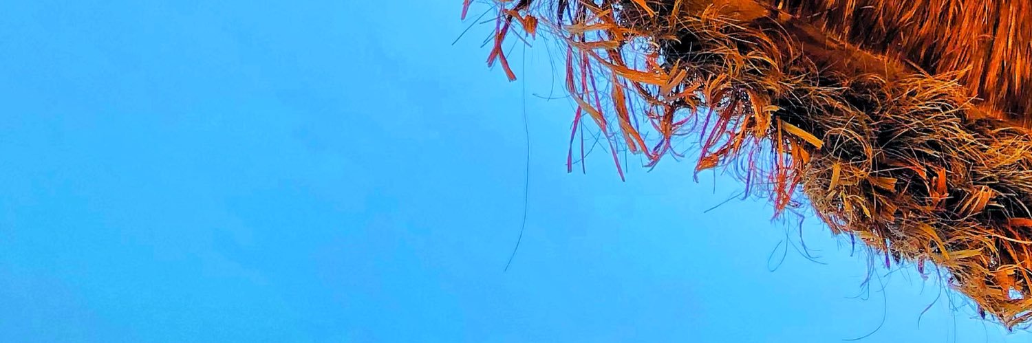 JessicaChanan's profile banner image