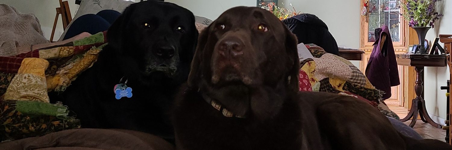 RyRyDeVay's profile banner image