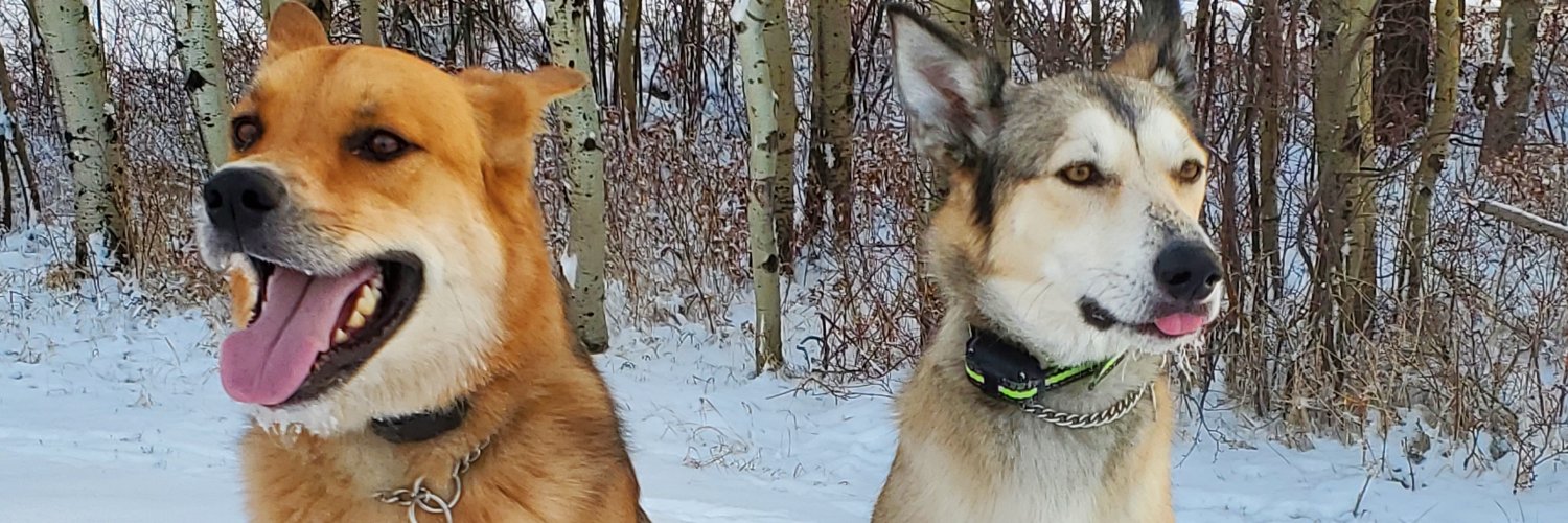 LokiAF1975's profile banner image