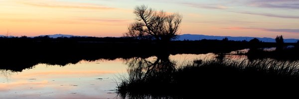 CaliforniaFishn Profile Banner