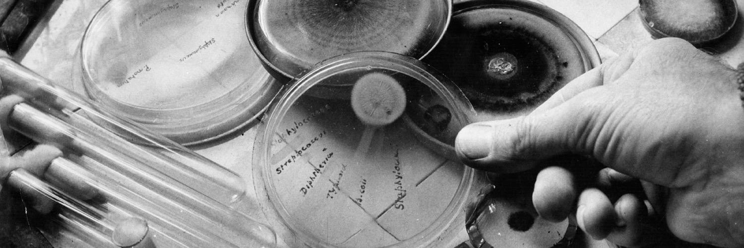 SciencePeter's profile banner image
