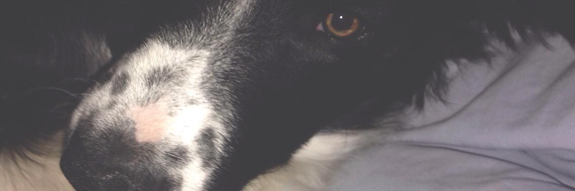 AshleyFreeman33's profile banner image