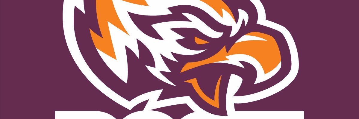 Post U Women's Hoops banner