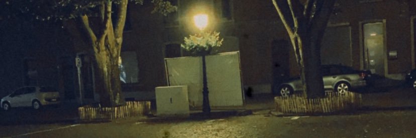 ladidise's profile banner image