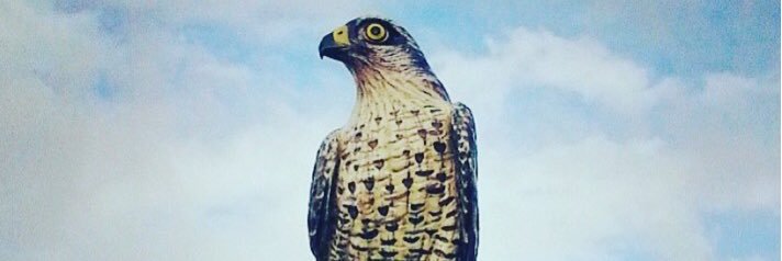 Levent Şirin banner