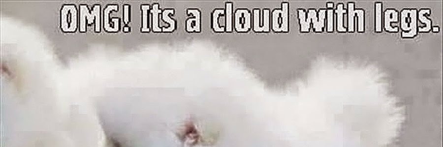 Tobias Paschek banner