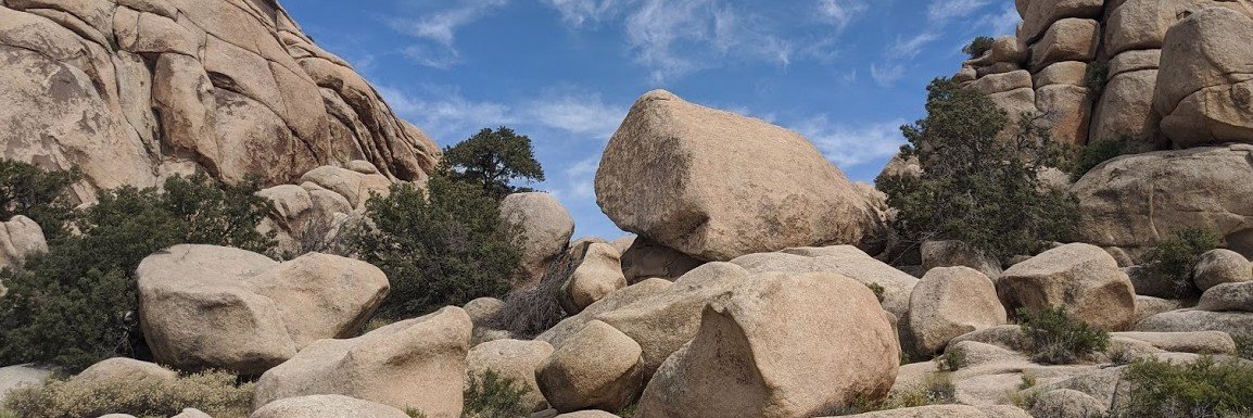 Timothy McCabe banner