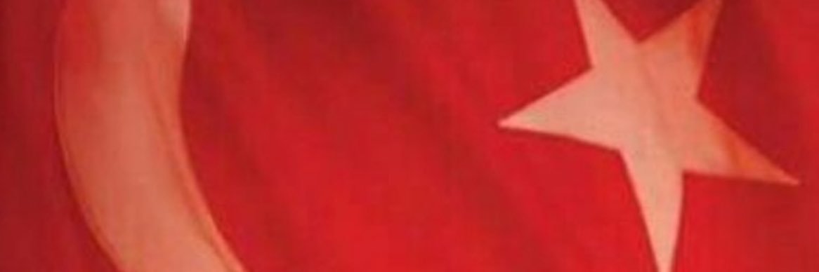 saracokann's profile banner image
